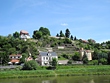 Weinberg am Elbufer Meißen